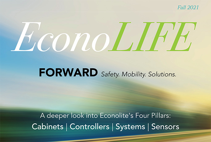 EconoLife Graphic 2 (resized)